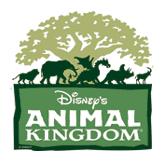 disneys animal kingdom theme park walt disney world