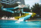 disneys contemporary resort pool walt disney world florida WDWVacation